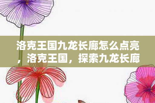 洛克王国九龙长廊怎么点亮，洛克王国，探索九龙长廊的神秘之旅