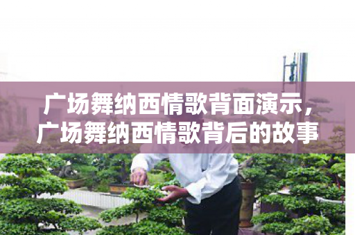 广场舞纳西情歌背面演示,广场舞纳西情歌背后的故事与文化 广场舞纳西情歌背面演示,广场舞纳西情歌背后的故事与文化