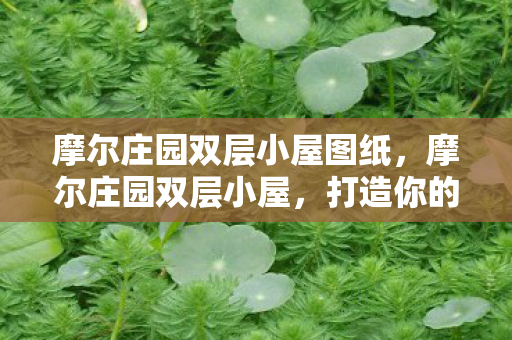 摩尔庄园双层小屋图纸，摩尔庄园双层小屋，打造你的梦幻庄园