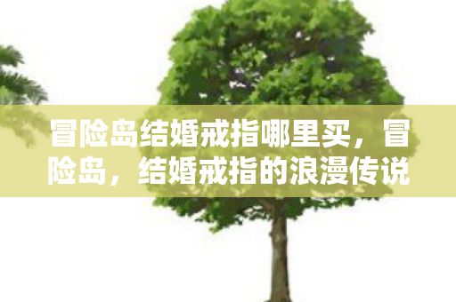 冒险岛结婚戒指哪里买，冒险岛，结婚戒指的浪漫传说