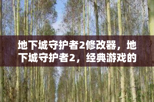 地下城守护者2修改器，地下城守护者2，经典游戏的修改与体验提升