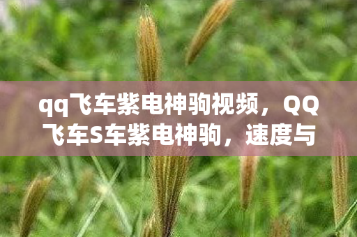 qq飞车紫电神驹视频，QQ飞车S车紫电神驹，速度与激情的完美结合