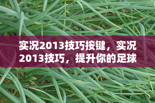 实况2013技巧按键，实况2013技巧，提升你的足球游戏水平