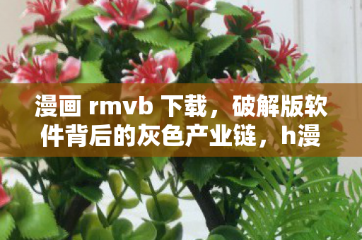 漫画 rmvb 下载,破解版软件背后的灰色产业链,h漫迅雷下载 漫画 rmvb 下载,破解版软件背后的灰色产业链,h漫迅雷下载