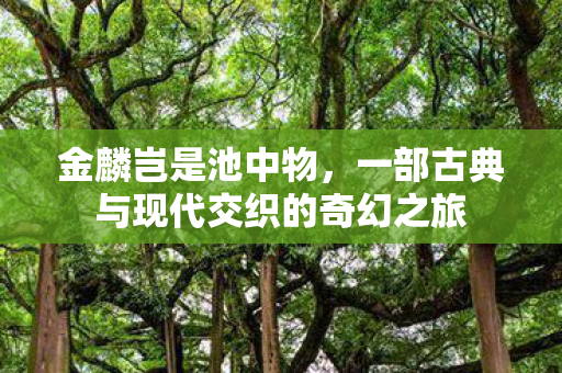 金麟岂是池中物,一部古典与现代交织的奇幻之旅 金麟岂是池中物,一部古典与现代交织的奇幻之旅