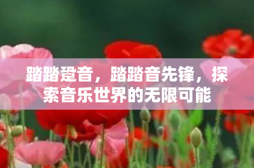 踏踏跫音,踏踏音先锋,探索音乐世界的无限可能 踏踏跫音,踏踏音先锋,探索音乐世界的无限可能