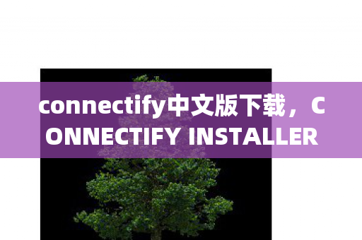 connectify中文版下载,CONNECTIFY INSTALLER 中文版,简化网络共享与管理的利器 connectify中文版下载,CONNECTIFY INSTALLER 中文版,简化网络共享与管理的利器