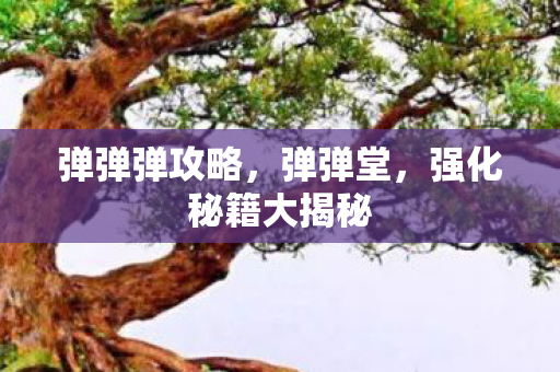 弹弹弹攻略,弹弹堂,强化秘籍大揭秘 弹弹弹攻略,弹弹堂,强化秘籍大揭秘