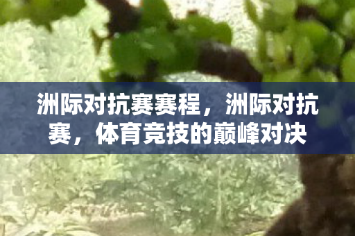 洲际对抗赛赛程，洲际对抗赛，体育竞技的巅峰对决