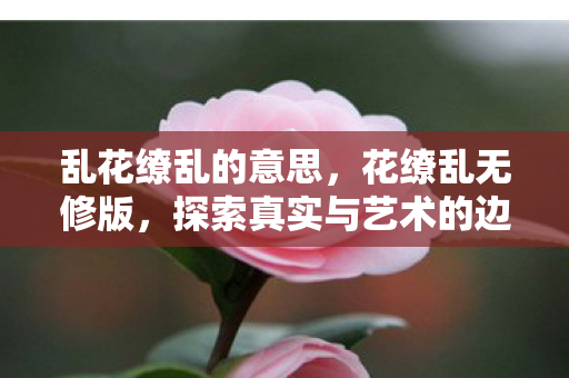 乱花缭乱的意思，花缭乱无修版，探索真实与艺术的边界
