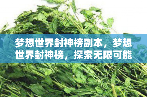 梦想世界封神榜副本,梦想世界封神榜,探索无限可能的奇幻之旅 梦想世界封神榜副本,梦想世界封神榜,探索无限可能的奇幻之旅