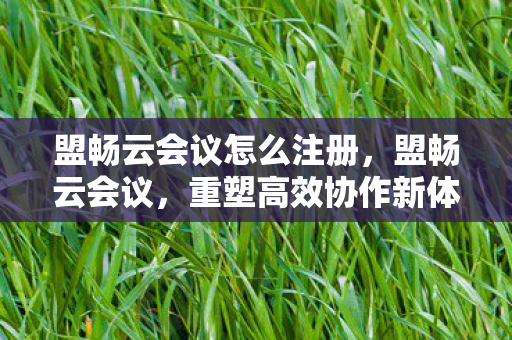 盟畅云会议怎么注册,盟畅云会议,重塑高效协作新体验 盟畅云会议怎么注册,盟畅云会议,重塑高效协作新体验