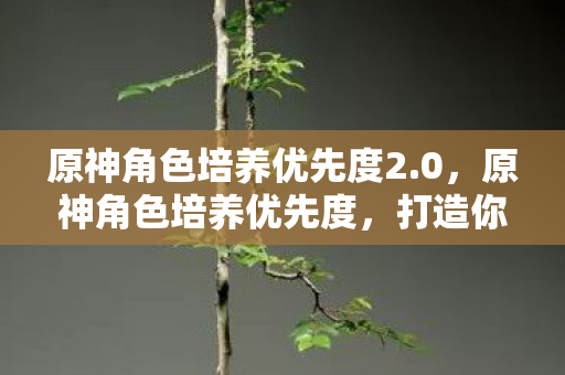 原神角色培养优先度2.0,原神角色培养优先度,打造你的最强队伍 原神角色培养优先度2.0,原神角色培养优先度,打造你的最强队伍