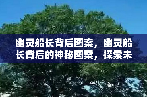 幽灵船长背后图案，幽灵船长背后的神秘图案，探索未知的海上传说
