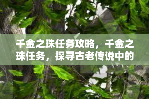 千金之珠任务攻略，千金之珠任务，探寻古老传说中的财富与智慧