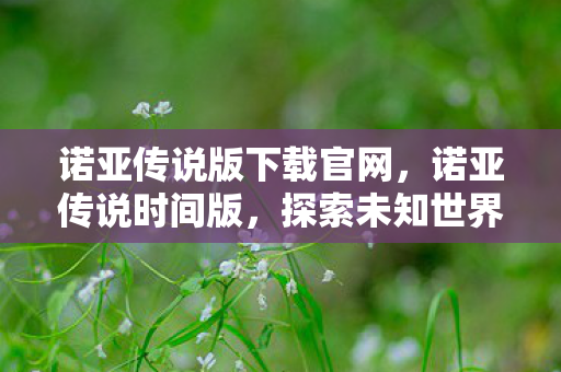 诺亚传说版下载官网，诺亚传说时间版，探索未知世界的奇幻之旅