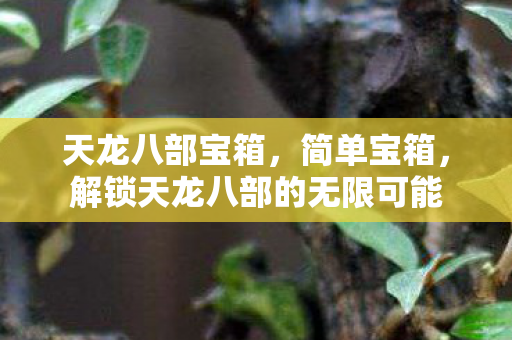 天龙八部宝箱,简单宝箱,解锁天龙八部的无限可能 天龙八部宝箱,简单宝箱,解锁天龙八部的无限可能