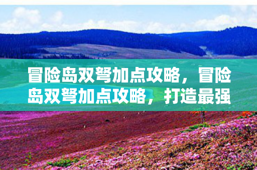 冒险岛双弩加点攻略，冒险岛双弩加点攻略，打造最强输出角色