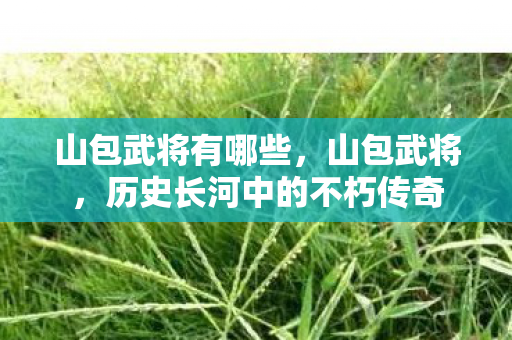 山包武将有哪些,山包武将,历史长河中的不朽传奇 山包武将有哪些,山包武将,历史长河中的不朽传奇
