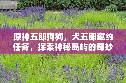 原神五郎狗狗，犬五郎邀约任务，探索神秘岛屿的奇妙之旅