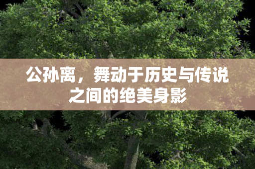 公孙离，舞动于历史与传说之间的绝美身影