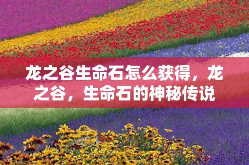 龙之谷生命石怎么获得,龙之谷,生命石的神秘传说 龙之谷生命石怎么获得,龙之谷,生命石的神秘传说