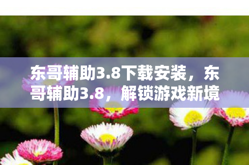 东哥辅助3.8下载安装，东哥辅助3.8，解锁游戏新境界的必备神器