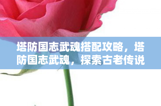 塔防国志武魂搭配攻略,塔防国志武魂,探索古老传说中的防御艺术 塔防国志武魂搭配攻略,塔防国志武魂,探索古老传说中的防御艺术