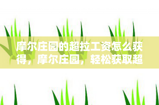 摩尔庄园的超拉工资怎么获得,摩尔庄园,轻松获取超拉工资的秘籍 摩尔庄园的超拉工资怎么获得,摩尔庄园,轻松获取超拉工资的秘籍