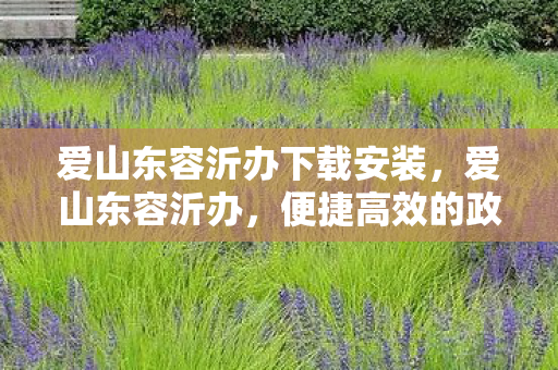 爱山东容沂办下载安装,爱山东容沂办,便捷高效的政务服务新体验 爱山东容沂办下载安装,爱山东容沂办,便捷高效的政务服务新体验