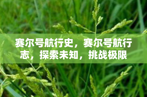 赛尔号航行史，赛尔号航行志，探索未知，挑战极限