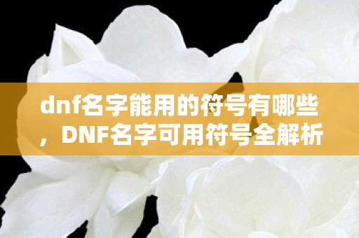dnf名字能用的符号有哪些，DNF名字可用符号全解析