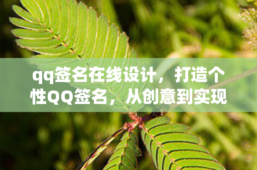 qq签名在线设计，打造个性QQ签名，从创意到实现的全面指南