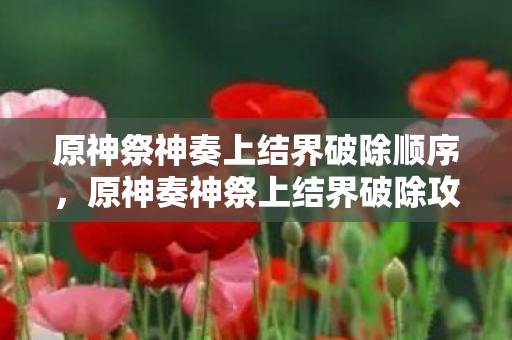 原神祭神奏上结界破除顺序,原神奏神祭上结界破除攻略 原神祭神奏上结界破除顺序,原神奏神祭上结界破除攻略