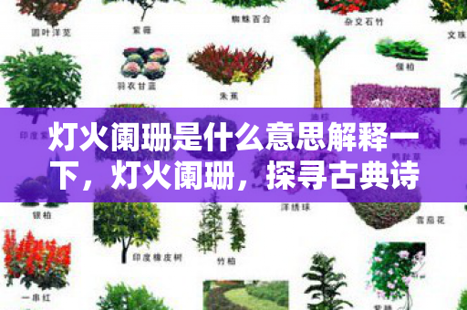 灯火阑珊是什么意思解释一下,灯火阑珊,探寻古典诗词中的意境之美 灯火阑珊是什么意思解释一下,灯火阑珊,探寻古典诗词中的意境之美