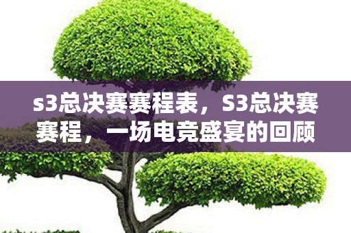 s3总决赛赛程表,S3总决赛赛程,一场电竞盛宴的回顾与期待 s3总决赛赛程表,S3总决赛赛程,一场电竞盛宴的回顾与期待