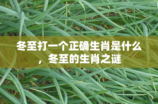 冬至打一个正确生肖是什么,冬至的生肖之谜 冬至打一个正确生肖是什么,冬至的生肖之谜