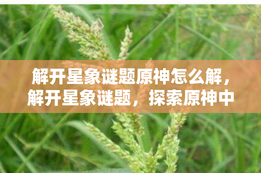 解开星象谜题原神怎么解,解开星象谜题,探索原神中的宇宙奥秘 解开星象谜题原神怎么解,解开星象谜题,探索原神中的宇宙奥秘