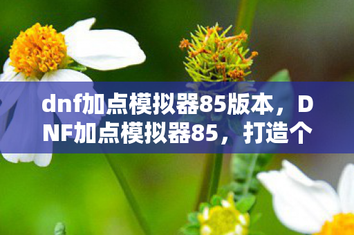 dnf加点模拟器85版本，DNF加点模拟器85，打造个性化角色，提升战斗力的必备工具