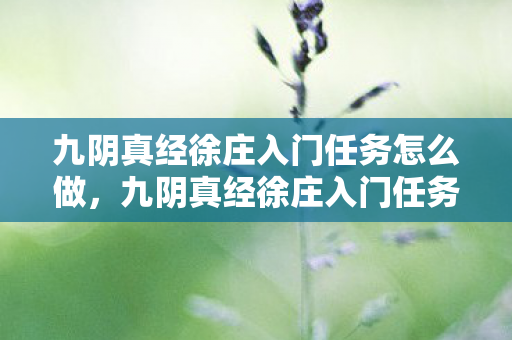 九阴真经徐庄入门任务怎么做,九阴真经徐庄入门任务全解析,探寻江湖的奥秘 九阴真经徐庄入门任务怎么做,九阴真经徐庄入门任务全解析,探寻江湖的奥秘