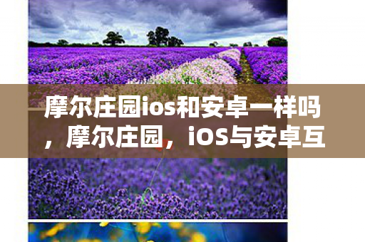 摩尔庄园ios和安卓一样吗,摩尔庄园,iOS与安卓互通性解析 摩尔庄园ios和安卓一样吗,摩尔庄园,iOS与安卓互通性解析