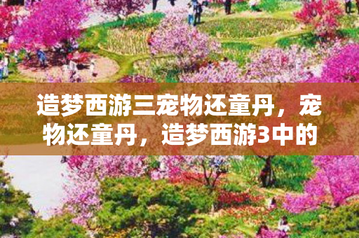 造梦西游三宠物还童丹,宠物还童丹,造梦西游3中的神奇道具 造梦西游三宠物还童丹,宠物还童丹,造梦西游3中的神奇道具