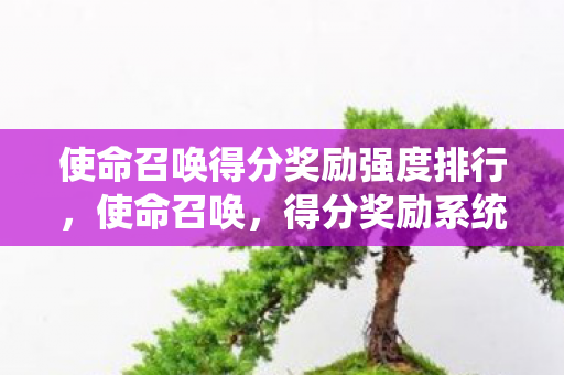 使命召唤得分奖励强度排行，使命召唤，得分奖励系统深度解析