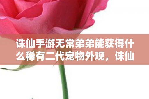 诛仙手游无常弟弟能获得什么稀有二代宠物外观，诛仙手游，揭秘无常弟弟的传奇故事