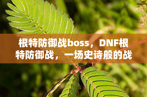 根特防御战boss，DNF根特防御战，一场史诗般的战斗与荣耀的较量