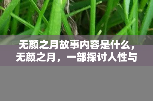 无颜之月故事内容是什么,无颜之月,一部探讨人性与情感的深刻作品 无颜之月故事内容是什么,无颜之月,一部探讨人性与情感的深刻作品