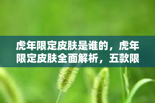 虎年限定皮肤是谁的,虎年限定皮肤全面解析,五款限定,尽显王者风范 虎年限定皮肤是谁的,虎年限定皮肤全面解析,五款限定,尽显王者风范