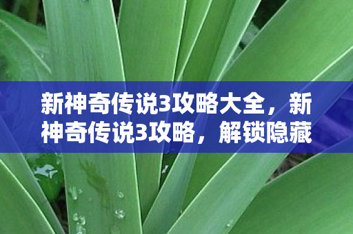 新神奇传说3攻略大全,新神奇传说3攻略,解锁隐藏关卡与角色,提升战力全解析 新神奇传说3攻略大全,新神奇传说3攻略,解锁隐藏关卡与角色,提升战力全解析
