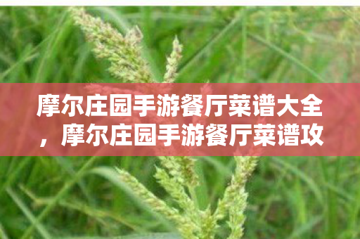 摩尔庄园手游餐厅菜谱大全，摩尔庄园手游餐厅菜谱攻略