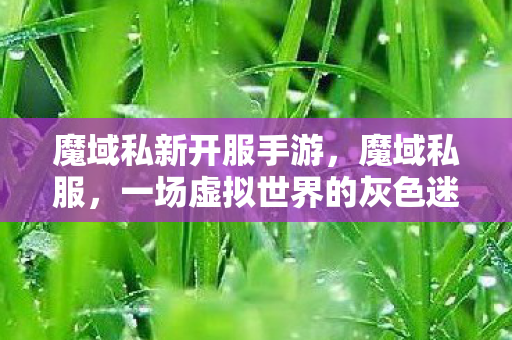 魔域私新开服手游，魔域私服，一场虚拟世界的灰色迷雾